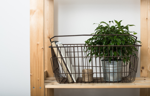 a plant in a metal basket on a shelf