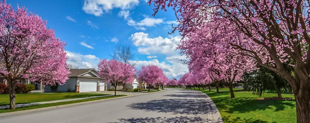 spring housing market