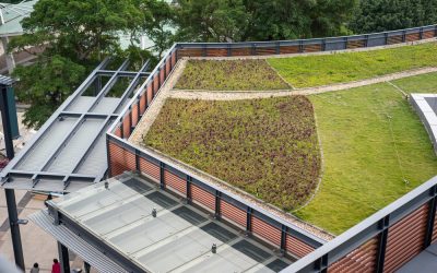 green roof law