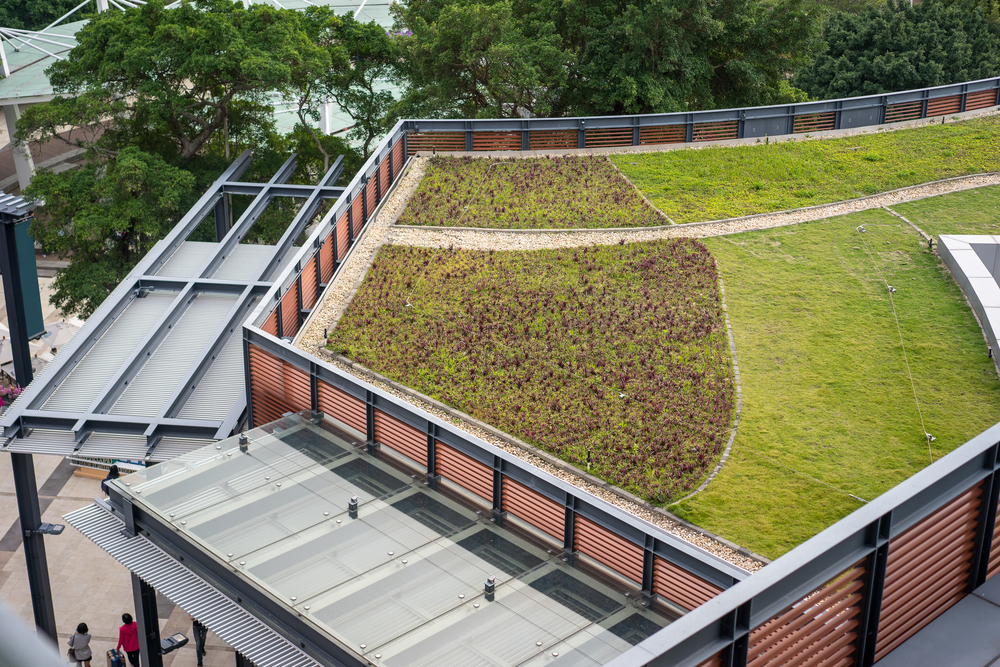 green roof law