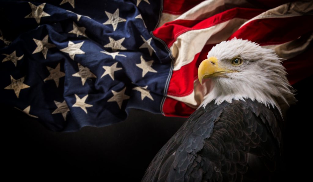 a bald eagle standing in front of an american flag