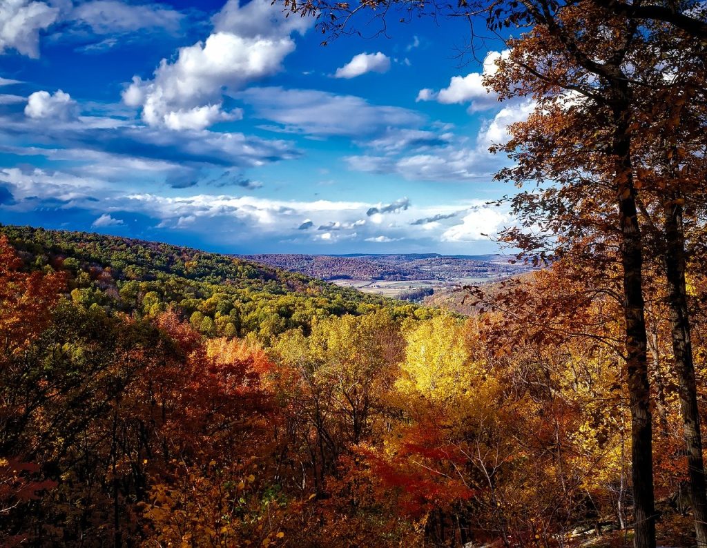 a scenic view of trees in the fall